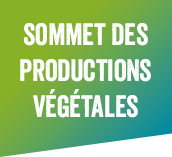 sommet-logo